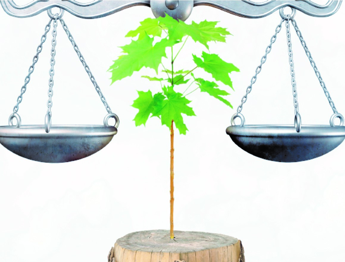DIREITO AMBIENTAL